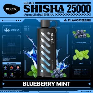 VOZOL SHISHA 25000 puffs Blueberry Mint Dubai UAE